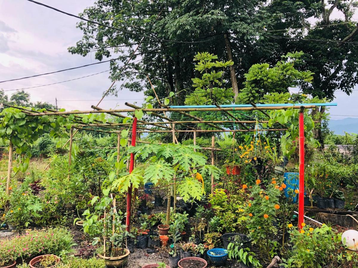 Atocha Homestay - Terong@Taiping Kampong Salak 외부 사진